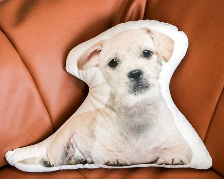 Custom Pet Dog Cat Pillow