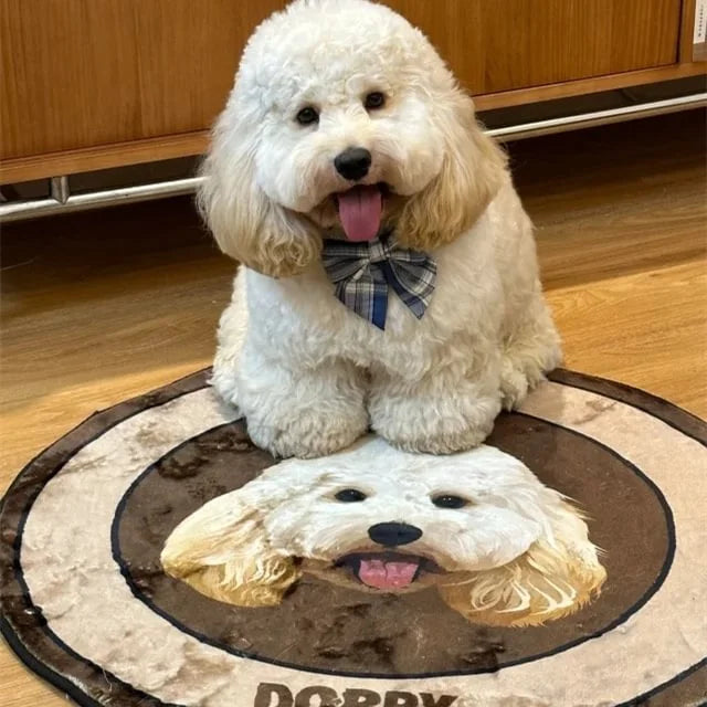 Personalized Cartoon Pet Rug