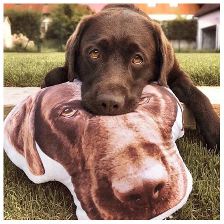 Custom Pet Pillow, Custom Pet Shaped Pillow