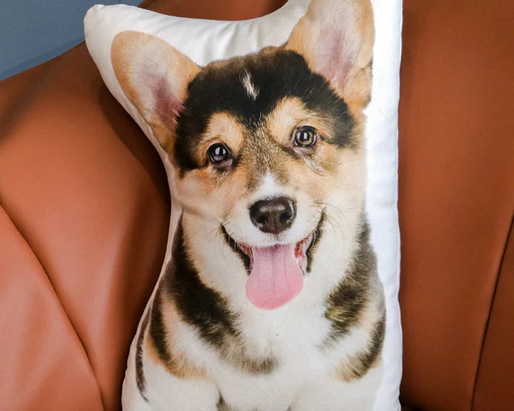 Custom Pet Dog Cat Pillow