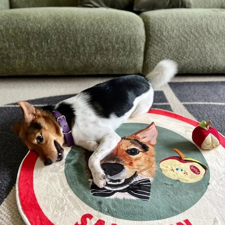 Personalized Cartoon Pet Rug