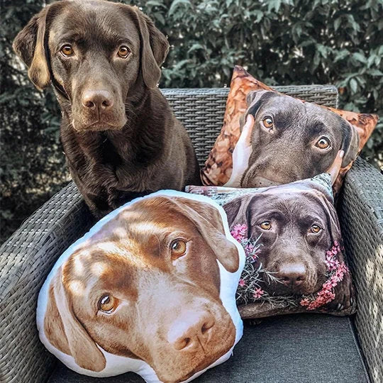 Custom Dog Face Pillow, Custom Shaped Pillow