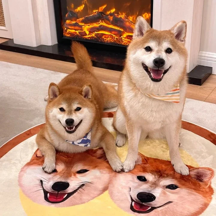 Personalized Cartoon Pet Rug