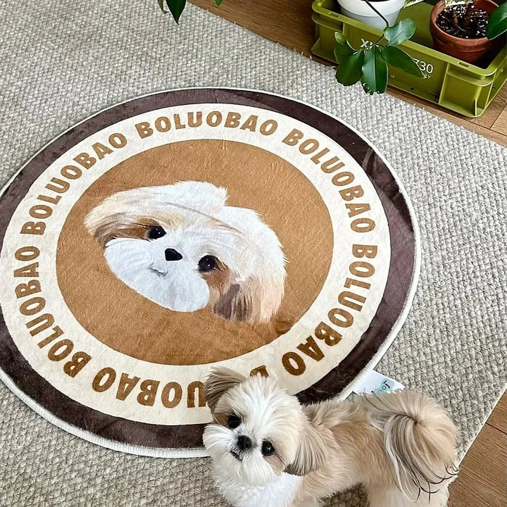 Personalized Cartoon Pet Rug