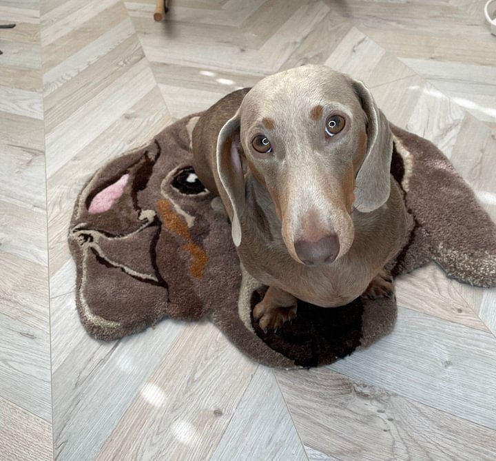 Flock Rug - Personalized Pet Dog Portrait Rug