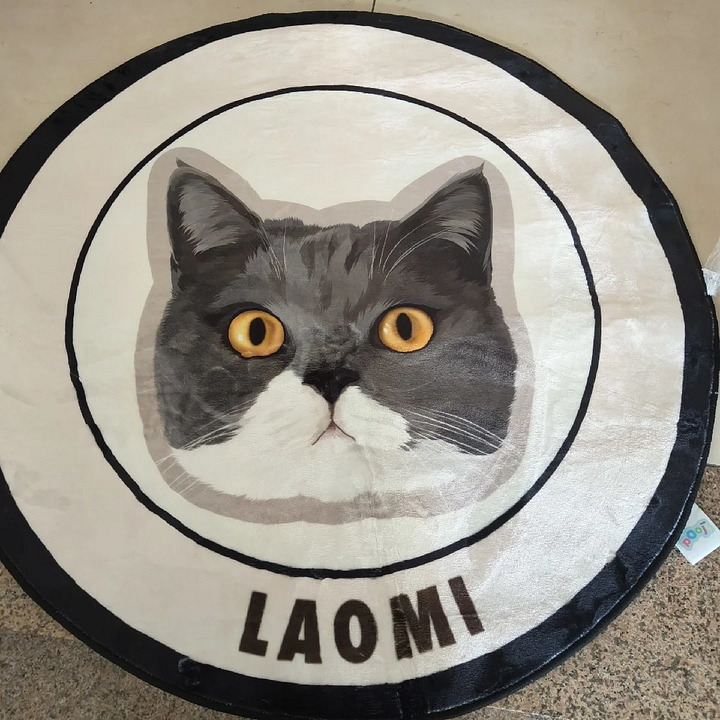 Personalized Cartoon Pet Rug