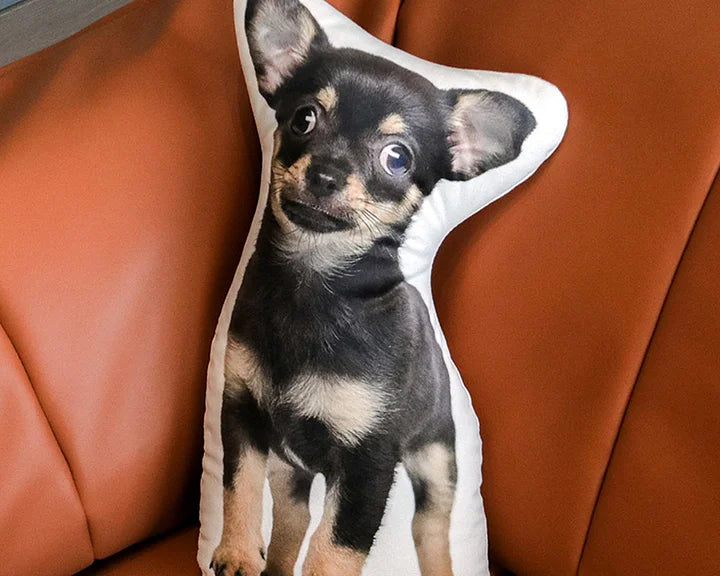 Custom Pet Dog Cat Pillow