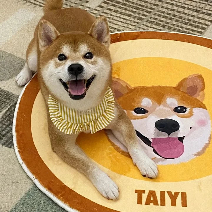 Personalized Cartoon Pet Rug