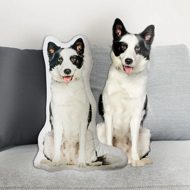 Personalized Pet Pillow