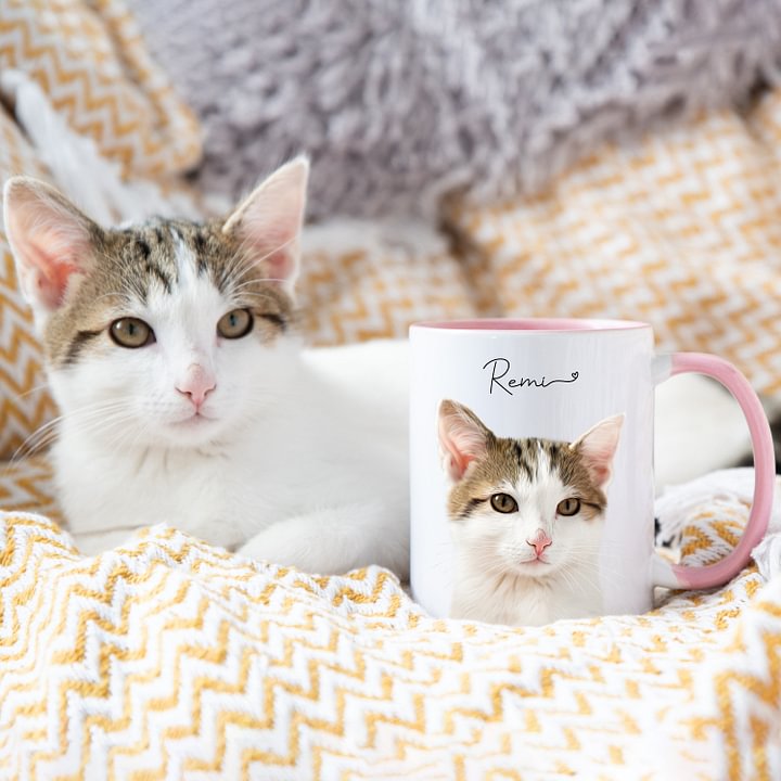 Custom Cat Dog Pet Mug From Photo