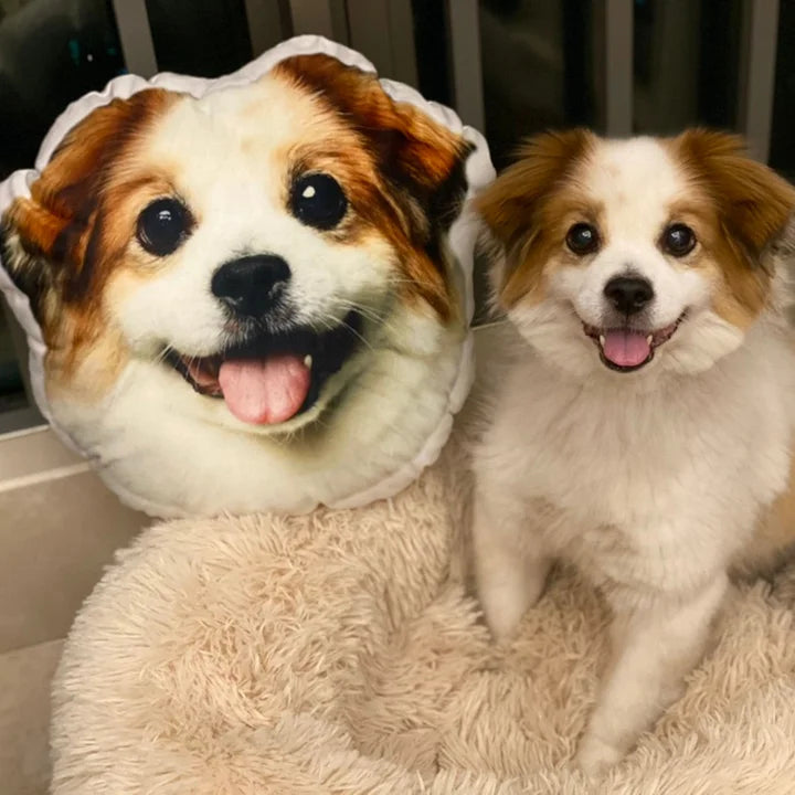 Custom Pet Dog Cat Pillow